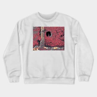 RedStone Crewneck Sweatshirt